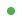 green circle icon