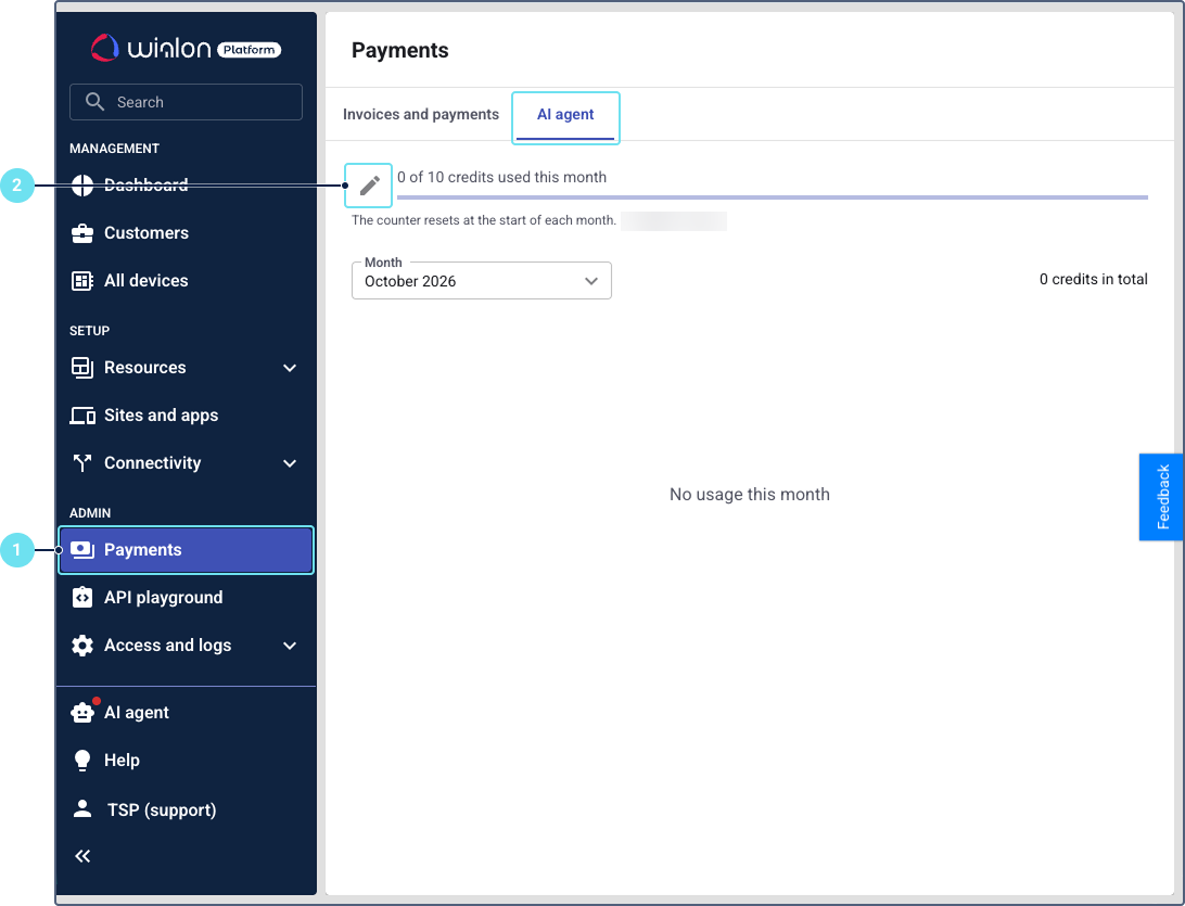 AI agent tab on the Payments page